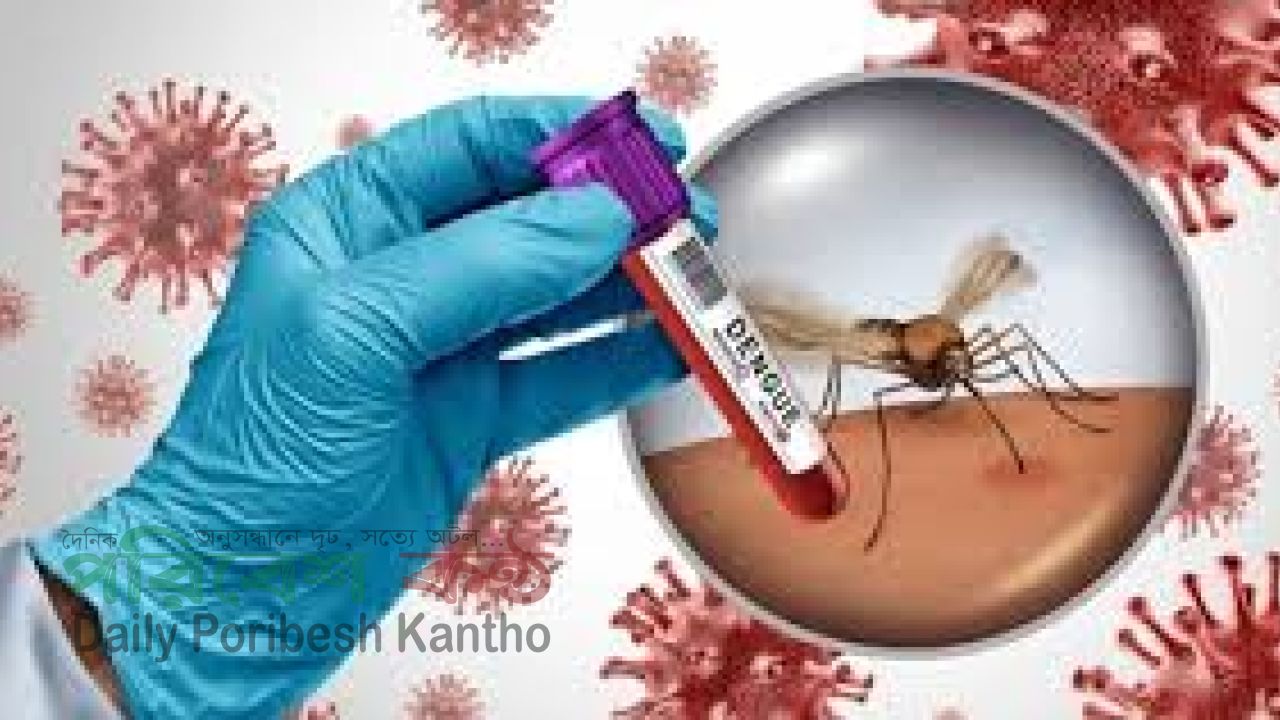 ডেঙ্গু বাড়ছে, সতর্ক থাকুন