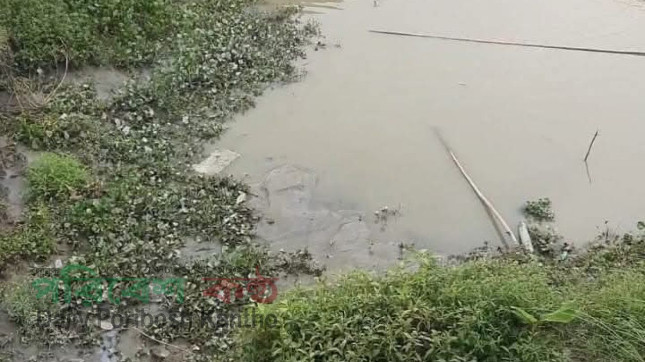 সোনারগাঁয়ে খাল কেটে মাটি লুটের অভিযোগ