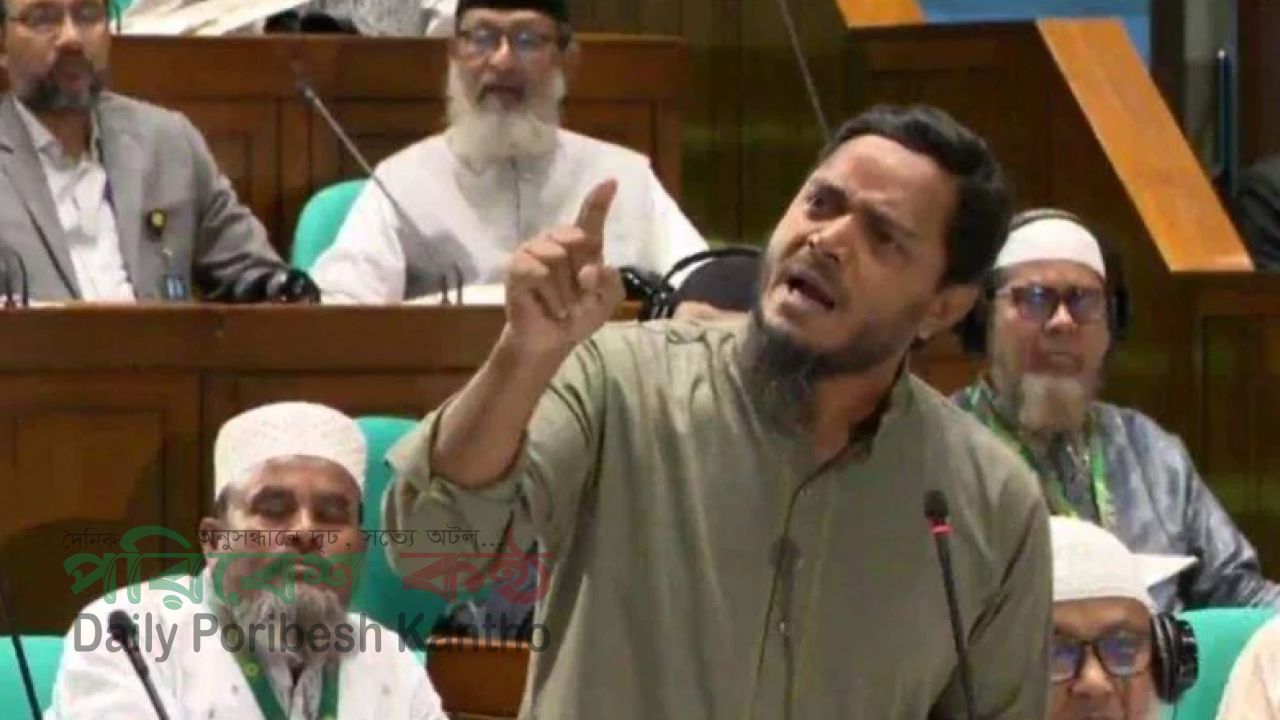 খাল খনন ও ফ্যামিলি কার্ডে সংস্কার আড়াল করা হচ্ছে—সংসদে দুই এমপির অভিযোগ