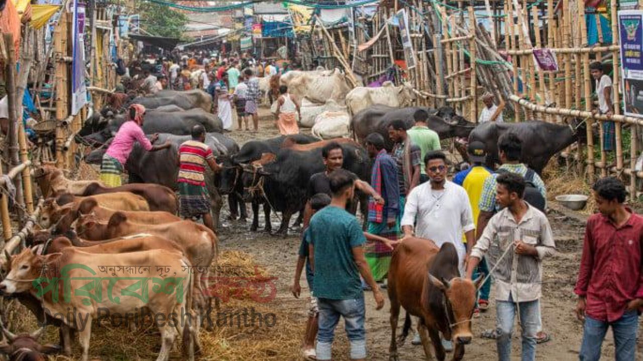 মতলব উত্তরে লেংটার মাজার মেলায় সংঘর্ষ, প্রধান খাদেমসহ আহত