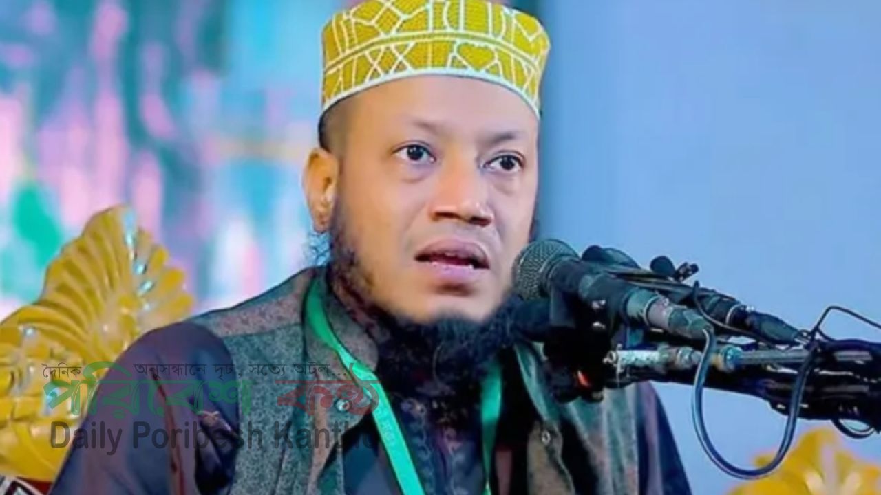 কুষ্টিয়া-৩ আসনের এমপি আমীর হামজাকে আইনি নোটিশ প্রদান