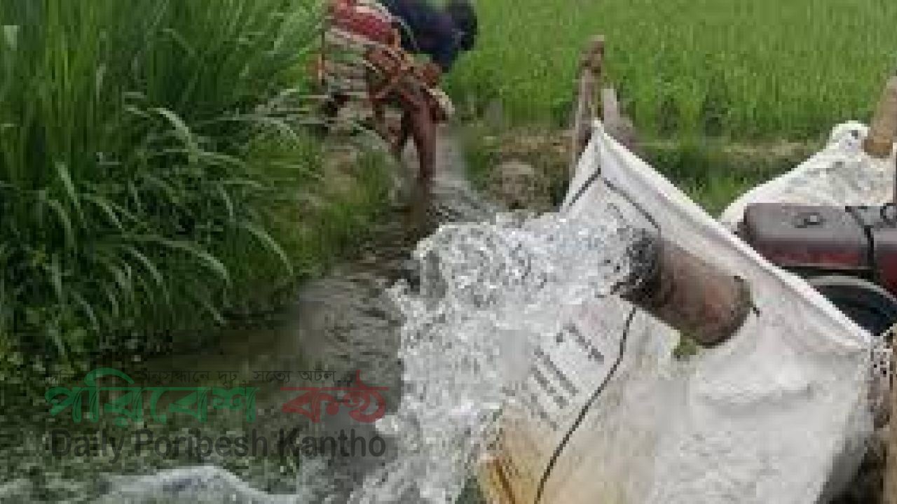 সেচ মৌসুমে ডিজেল সংকট ২০২৬: বিপাকে দেশের বোরো চাষিরা