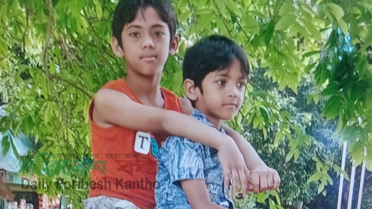 সোনারগাঁওয়ে পুকুরে ডুবে প্রাণ গেল আপন দুই ভাইয়ের