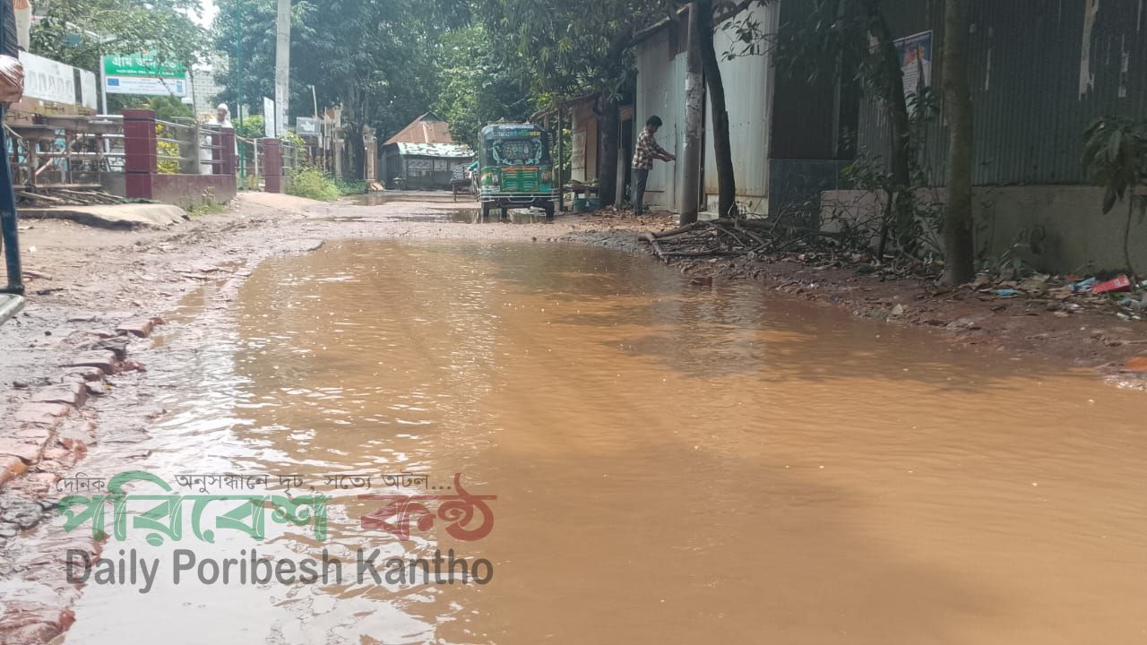 সোনারগাঁও দরিকান্দি-বাংলাবাজার সড়ক সংস্কারের জরুরি দাবি