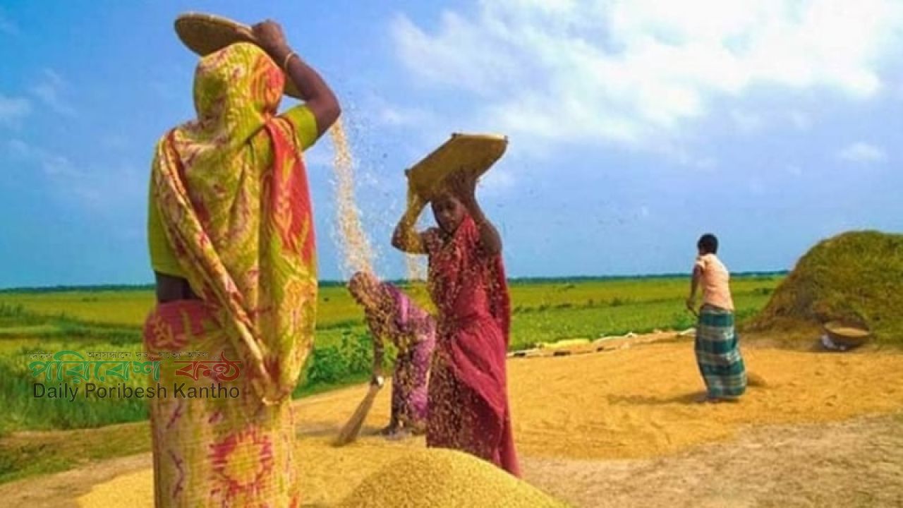 পুরুষের মজুরি যেখানে ১০০ টাকা, নারীর ৮৫