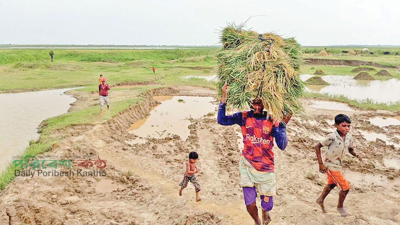 আত্মবিনাশী উন্নয়নে হাওরের সর্বনাশ