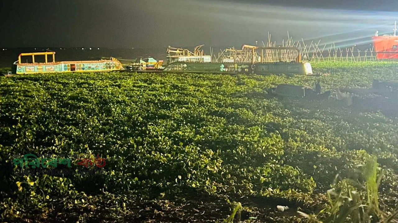 সোনারগাঁয়ে আনন্দবাজার হাট রক্ষায় বালু উত্তোলন বন্ধের দাবি