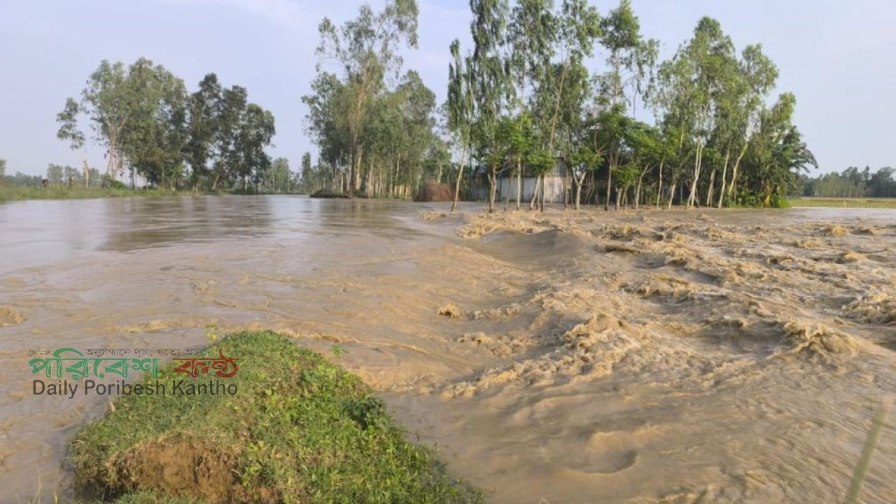 শেরপুরে পাহাড়ি নদীর পানি বৃদ্ধি, ঢলের আশঙ্কা