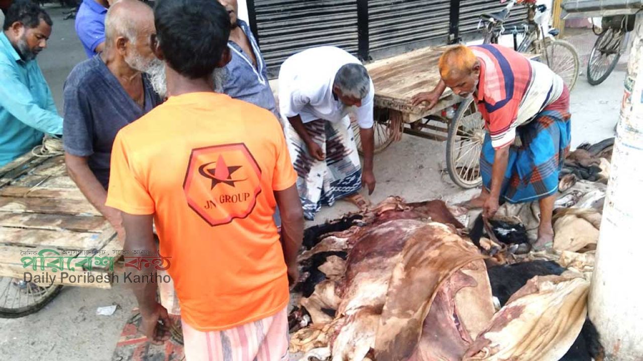 কোরবানির পশুর চামড়ার দাম বর্গফুটে বাড়ল ২-৩ টাকা, ঢাকা ও ঢাকার বাইরে কত