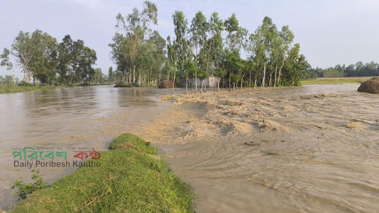 ঢলে বাঁধ ভেঙে লোকালয়ে পানি