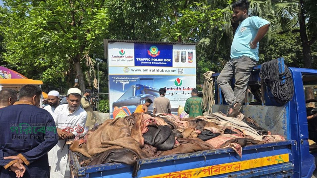 এবারও হতাশ চামড়া ব্যবসায়ীরা, দাম গত বছরের চেয়েও কম