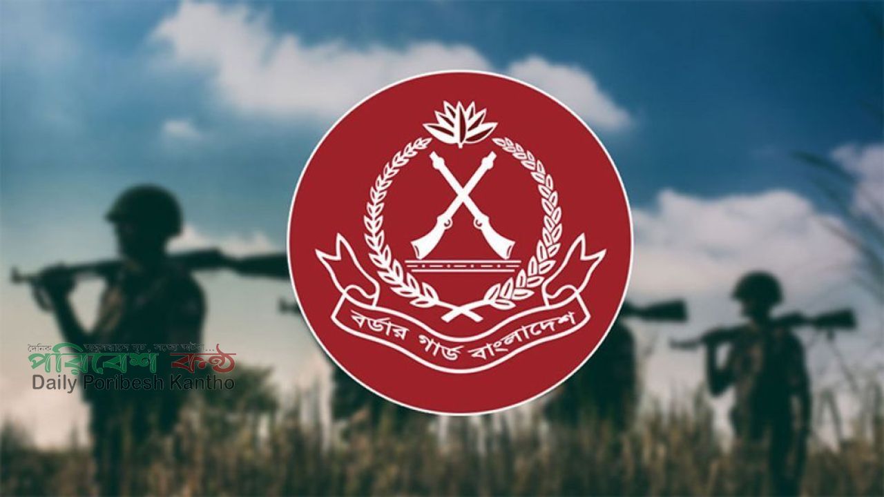বিএসএফের ১০টি পুশইন অপচেষ্টা রুখে দিয়েছে বিজিবি