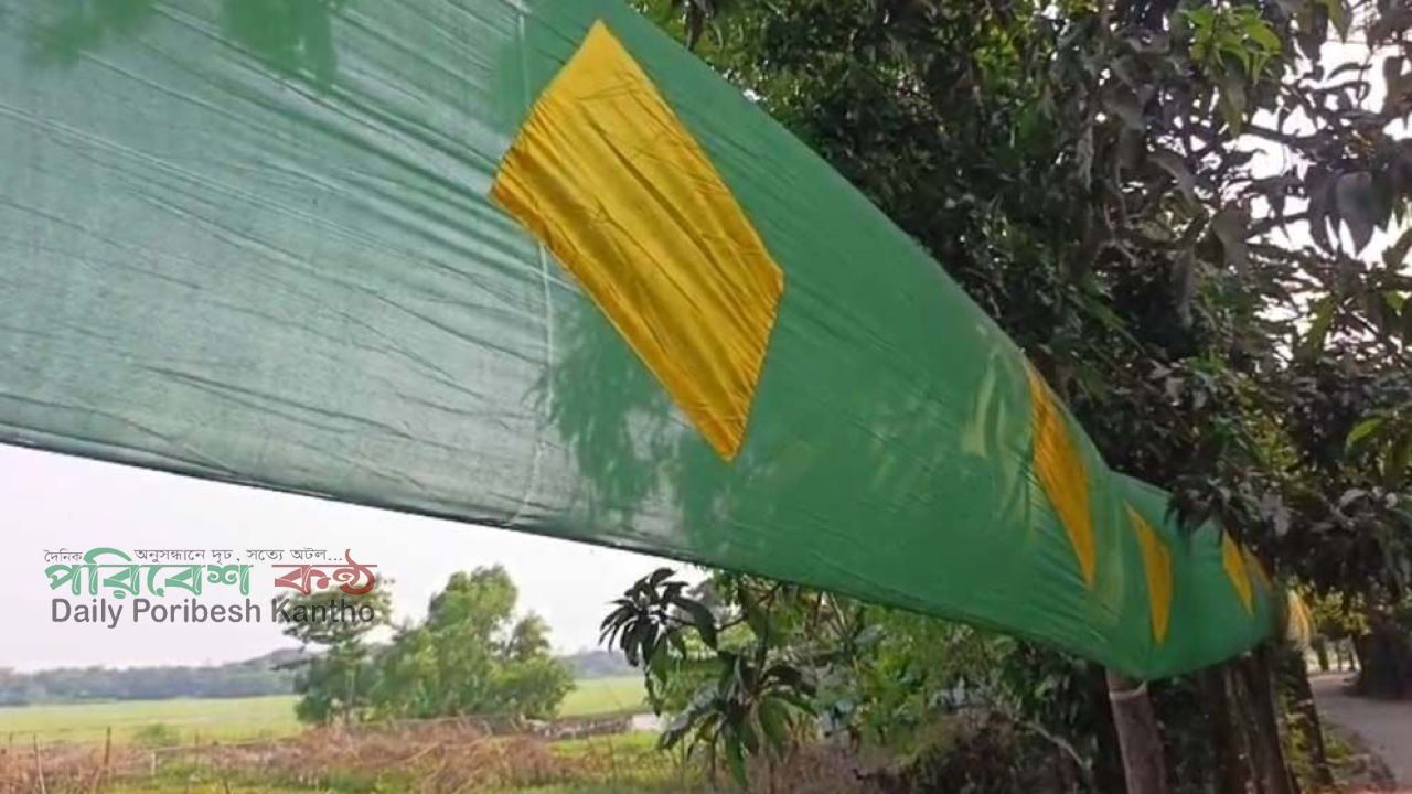 ঘোড়াশালে ৩০০ ফুট দৈর্ঘ্যের পতাকা টানালেন ব্রাজিল সমর্থকরা