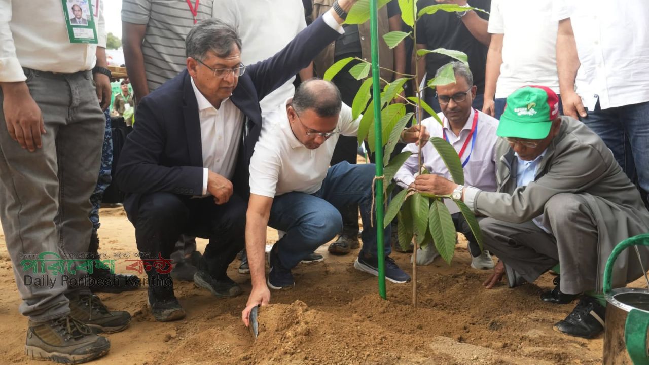 সারা দেশে ২৫ কোটি বৃক্ষরোপণ কর্মসূচি উদ্বোধন প্রধানমন্ত্রীর