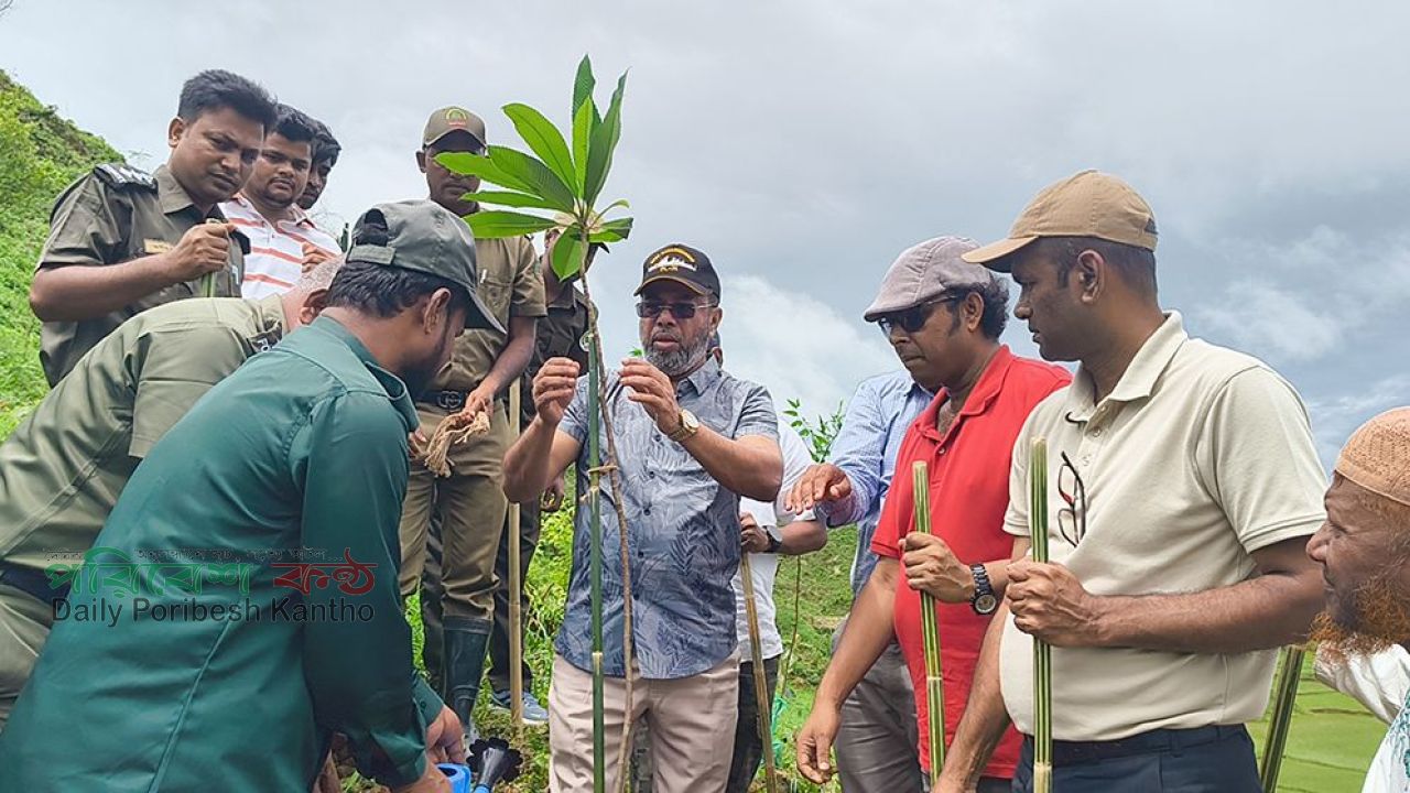 দেশকে সবুজে ঢেকে ফেলতে চায় সরকার: বন প্রতিমন্ত্রী