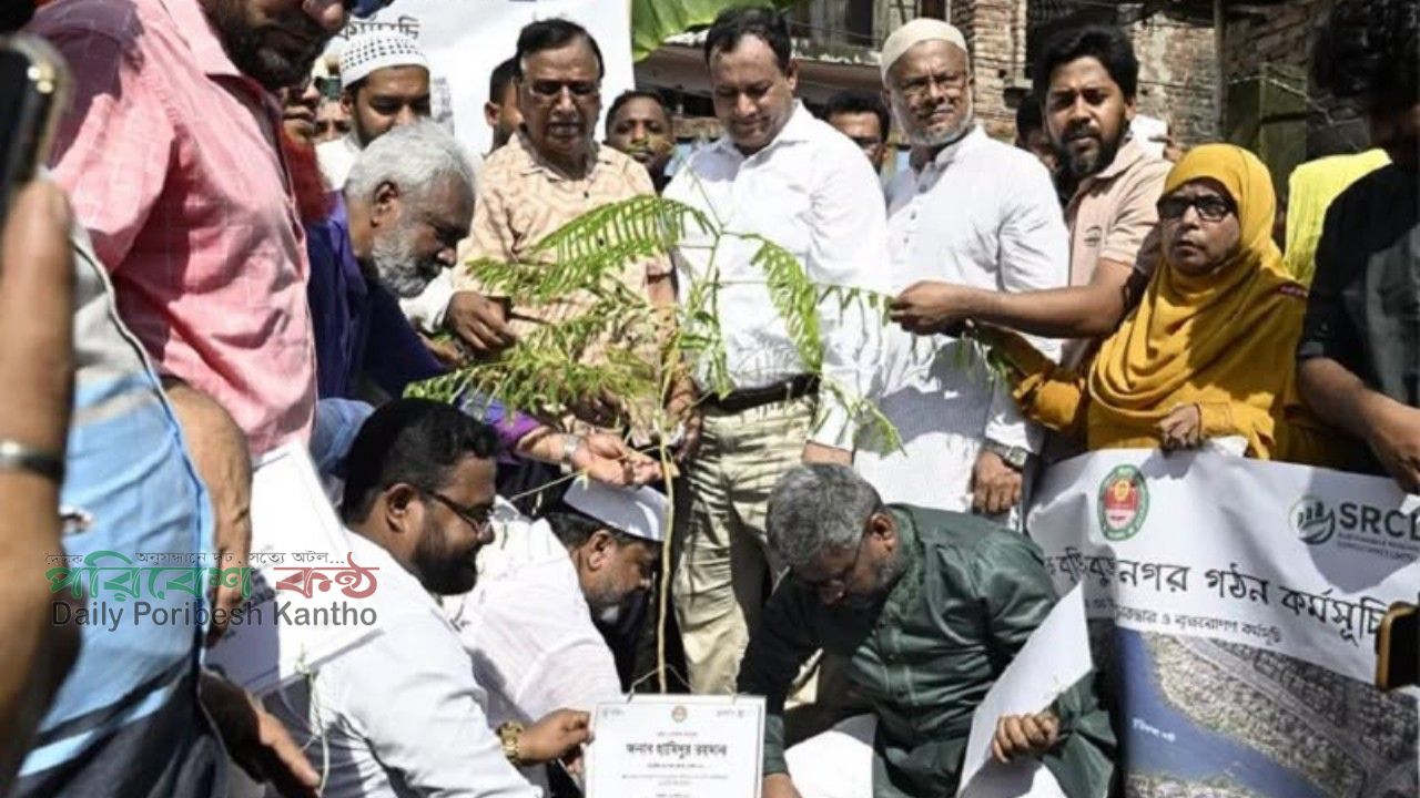 পরিবেশ রক্ষায় ডিএসসিসি প্রশাসকের সামাজিক আন্দোলনের ডাক