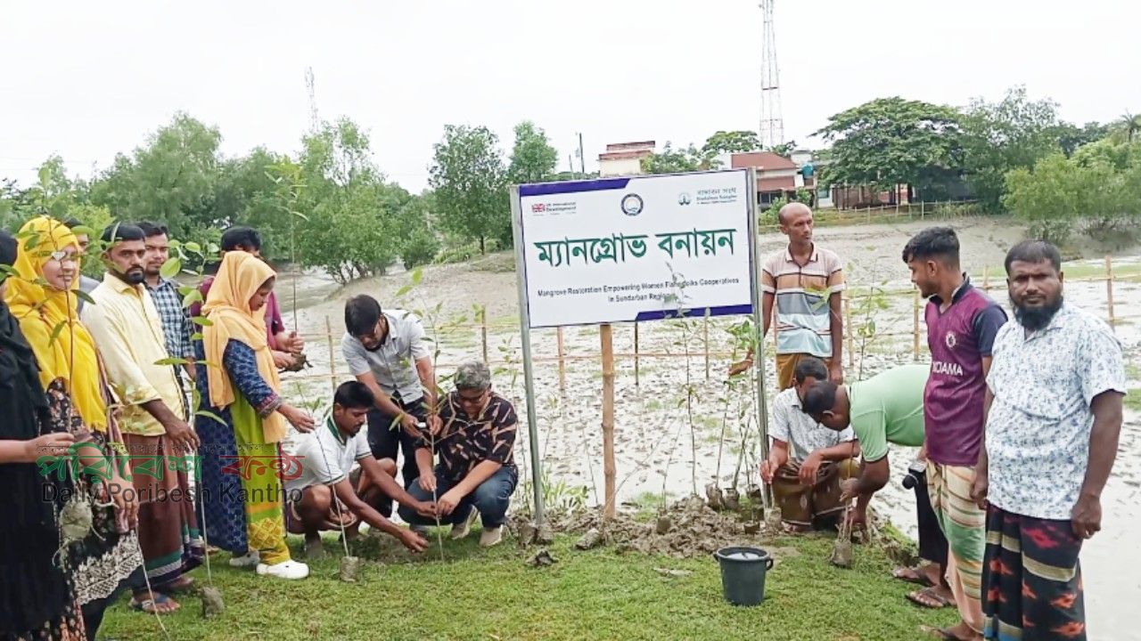 সুন্দরবন রক্ষায় মোংলায় ম্যানগ্রোভ বনায়ন কর্মসূচি