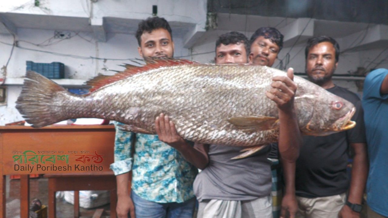 বাগেরহাটে সাড়ে ৩ লাখ টাকায় বিক্রি হলো বিরল মাছ