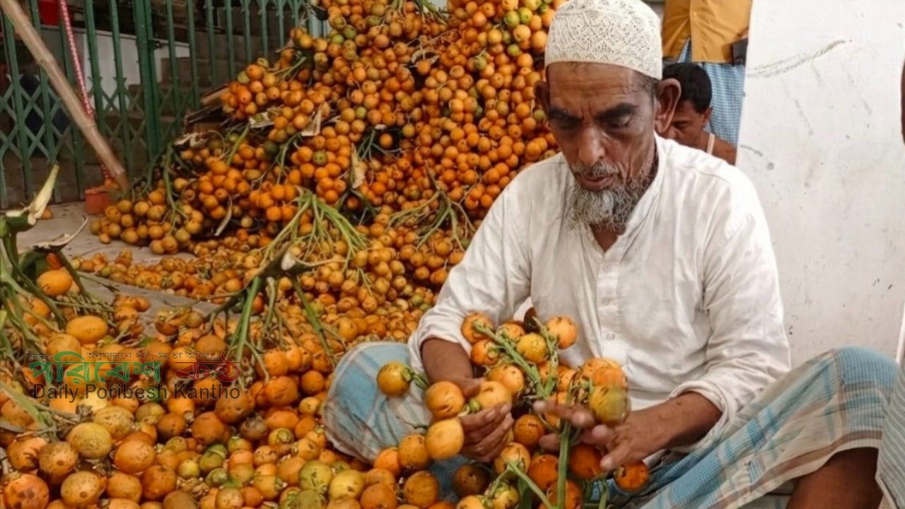 সুপারি: কেন একে উপকূলের ‘লাল সোনা’ বলা হয়?