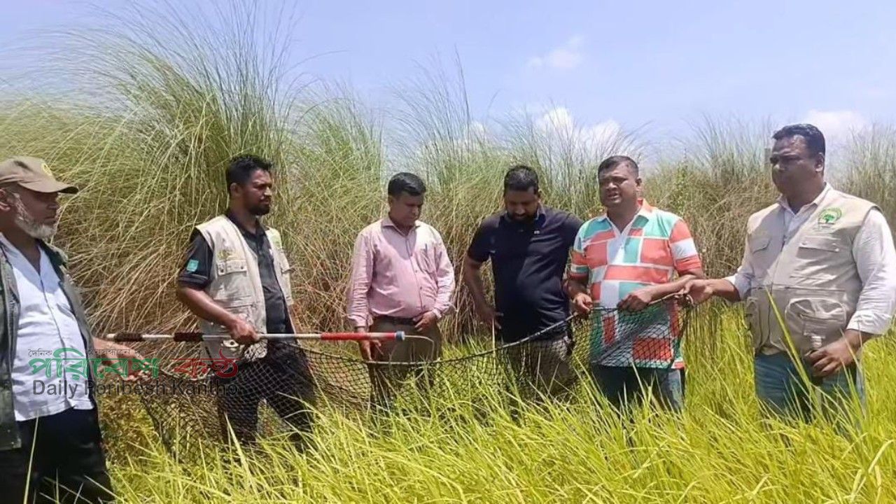 সোনারগাঁওয়ে বন বিভাগের শিয়াল উদ্ধার অভিযান
