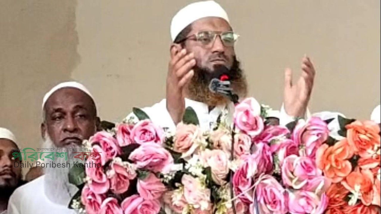 ‘রয়েল রিসোর্টে হত্যার ষড়যন্ত্র হয়েছিল, সফল হয়নি’: মামুনুল হক