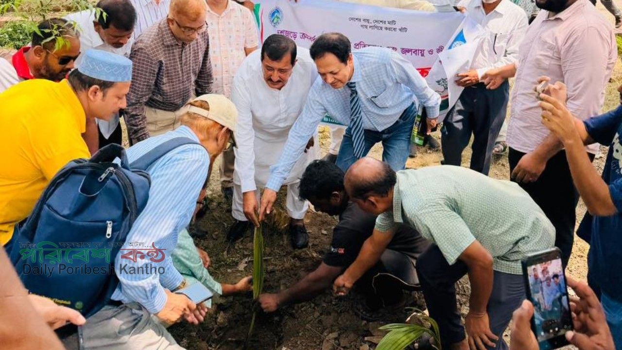 রাজশাহীতে বজ্রপাত রোধে ১হাজার তালগাছ রোপণ কর্মসূচির উদ্বোধন