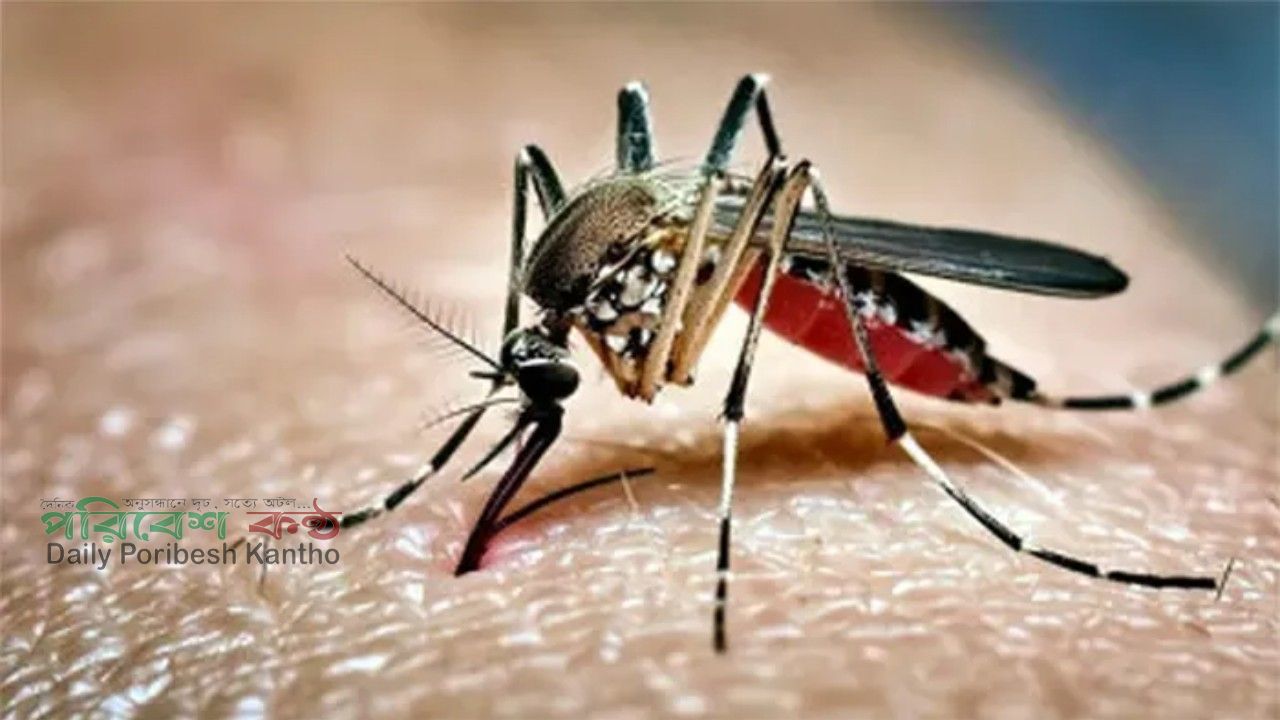 বাংলাদেশে ডেঙ্গু পরিস্থিতির ভয়াবহ