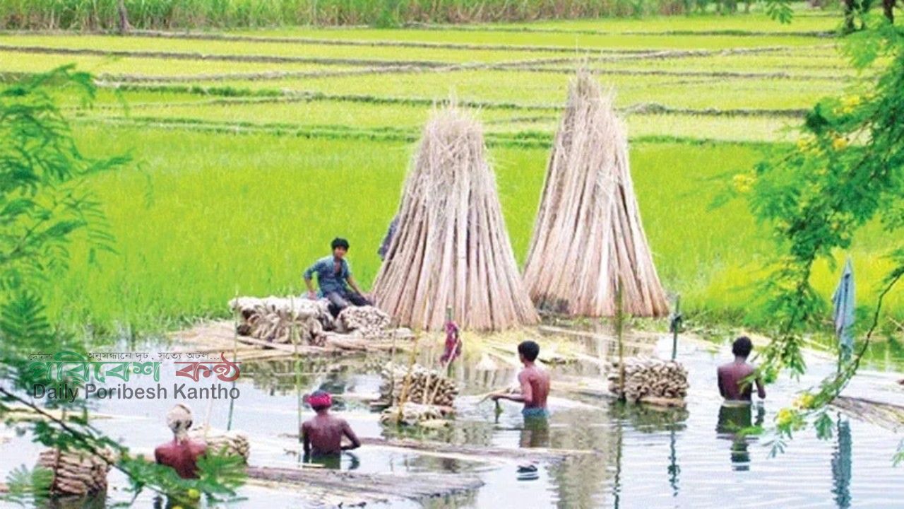 কুড়িগ্রামের নদীপথে রাতের আঁধারে পাচার হচ্ছে ‘সোনালি আঁশ’