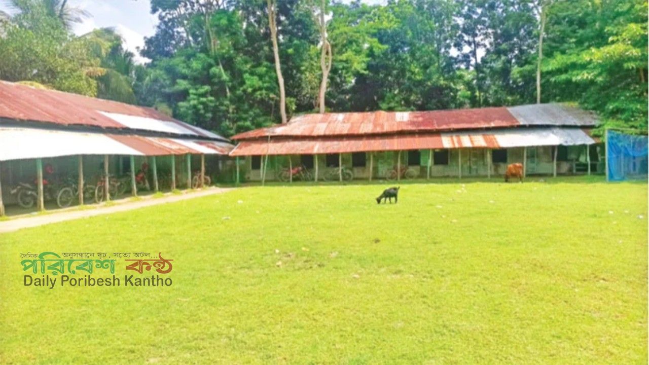 বরিশালে শিক্ষার্থীশূন্য আট উচ্চ মাধ্যমিক কলেজ