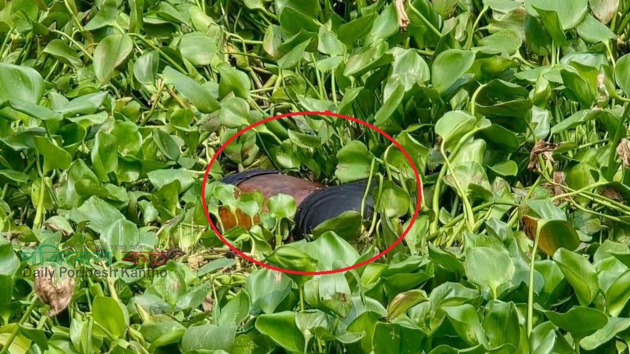 সোনারগাঁয়ে ব্রীজের নিচে অজ্ঞাত লাশের সন্ধান