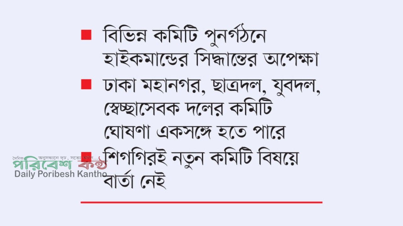 বিএনপির সাংগঠনিক পুনর্গঠনে স্বচ্ছ নেতৃত্বের খোঁজে হাইকমান্ড