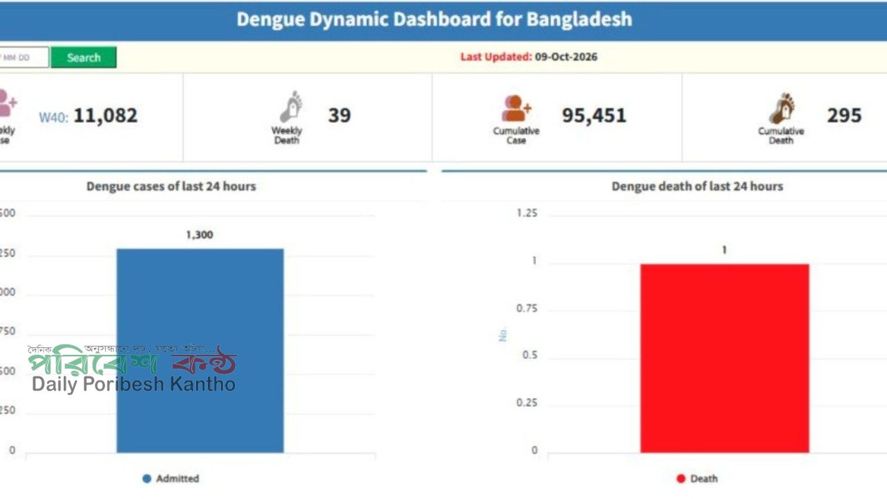 দেশে ডেঙ্গু আক্রান্ত ৯৫ হাজার ছাড়িয়ে মৃত্যু ২৯৫
