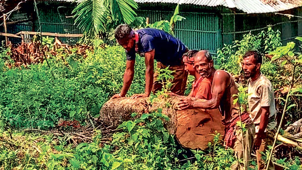 চট্টগ্রামের সীতাকুণ্ড: বন উজাড়ে নীরব রেল-বন বিভাগ