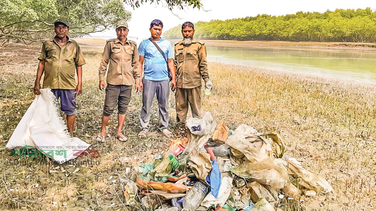 ঝুঁকিতে বনের পরিবেশ: প্লাস্টিকের চাপে সুন্দরবন